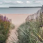 The Estuary